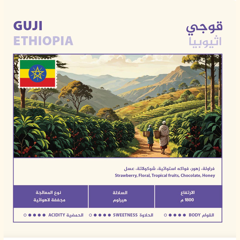 محمصة نهج ـ قوجي